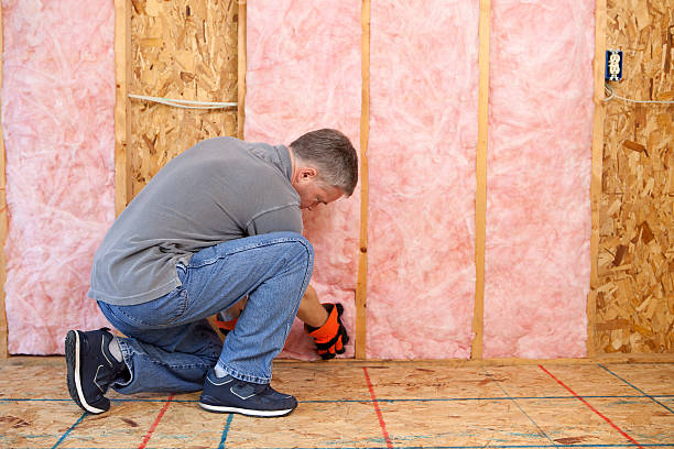 Best Insulation Installation Services in Cleveland, WI